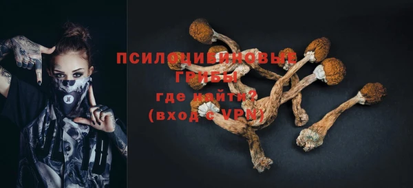 гашик Баксан