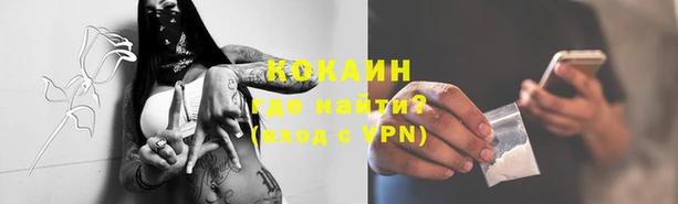 индика Балабаново