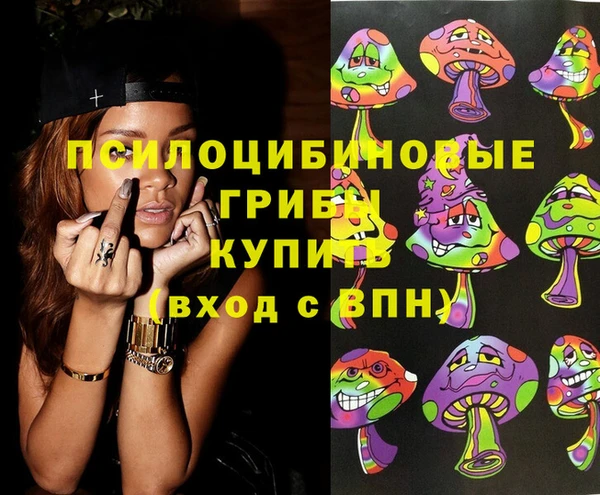 гашик Баксан