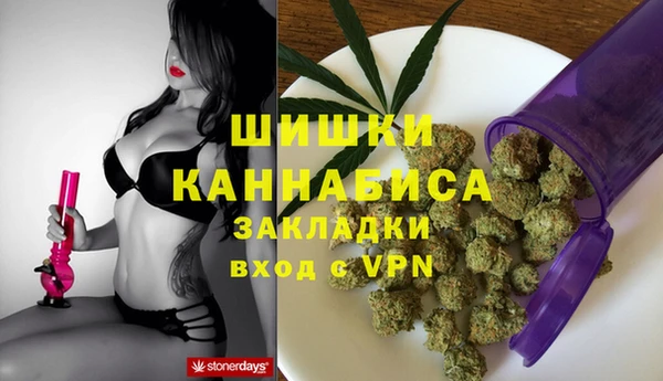 индика Балабаново