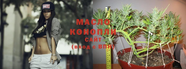 индика Балабаново