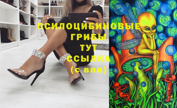 гашик Баксан