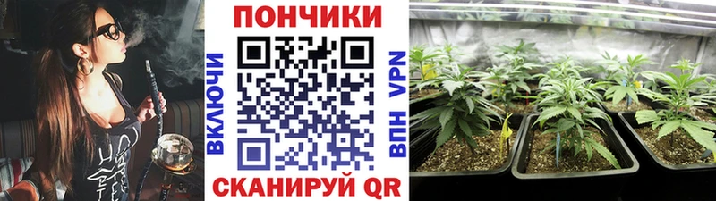 цены наркотик  Ливны  Бошки Шишки семена 